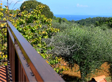 Ferienwohnungen Casa Maureen, Capoliveri, Insel Elba