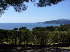 Panoramablick, Casina Elli, Capoliveri, Insel Elba