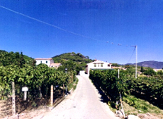 Terrasse, Ferienwohung, Winzer Pepe, Marina di Campo, Insel Elba