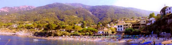 Strand San Andrea von Zanca auf der Insel Elba