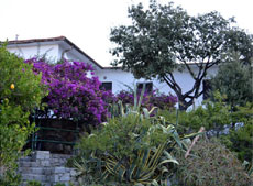 Ferienhaus, Haus Bonti, Pomonte, Insel Elba
